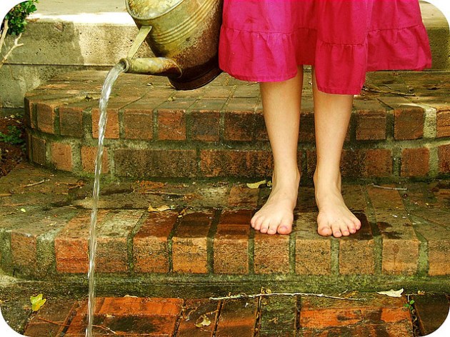 2443019667_3d8969d1b9_z