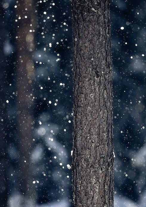 5ef9716d67ae88a51cca48a2c75f53ff